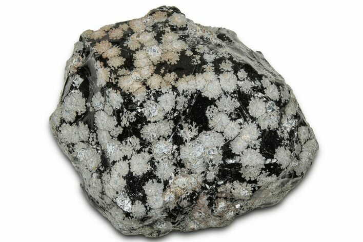 Snowflake Obsidian Section - Utah #327120